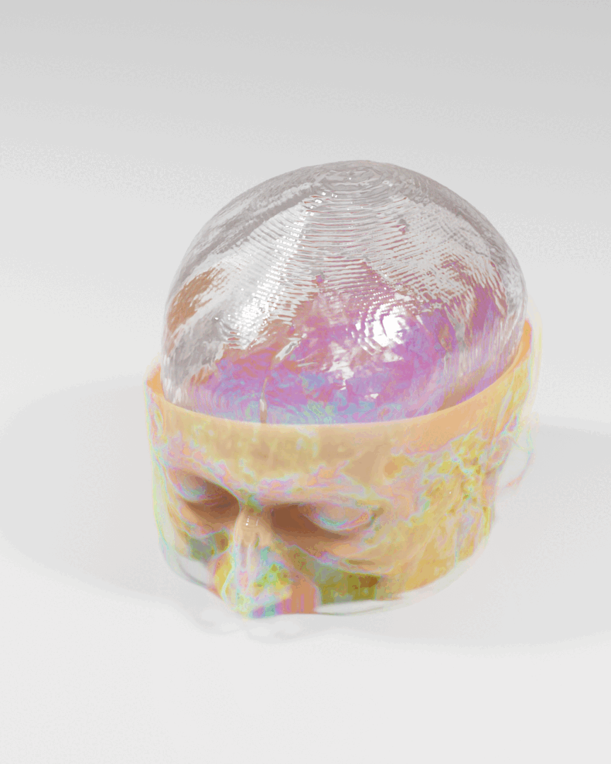 SoftwareHead