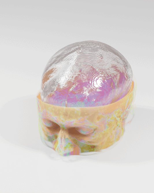 SoftwareHead